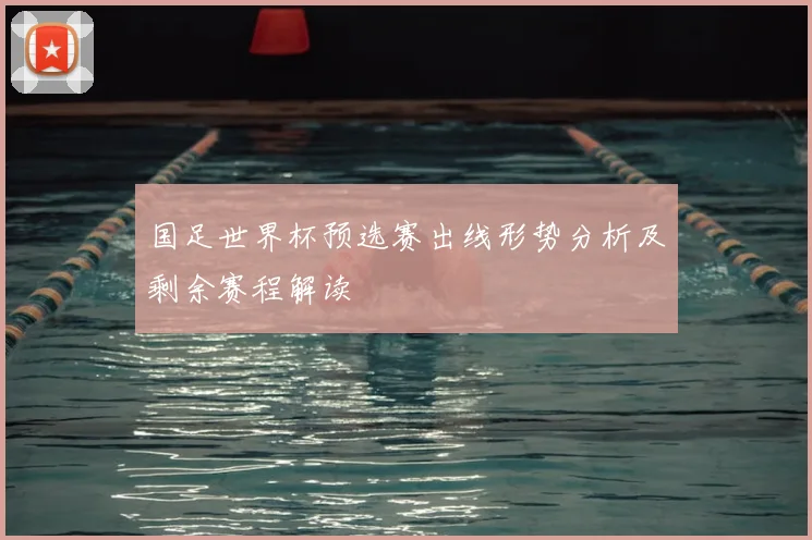 国足世界杯预选赛出线形势分析及剩余赛程解读